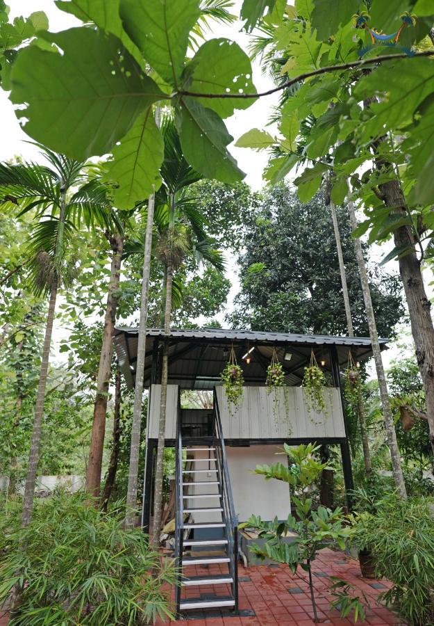 Serenity Villa And Treehouse بلكاد المظهر الخارجي الصورة