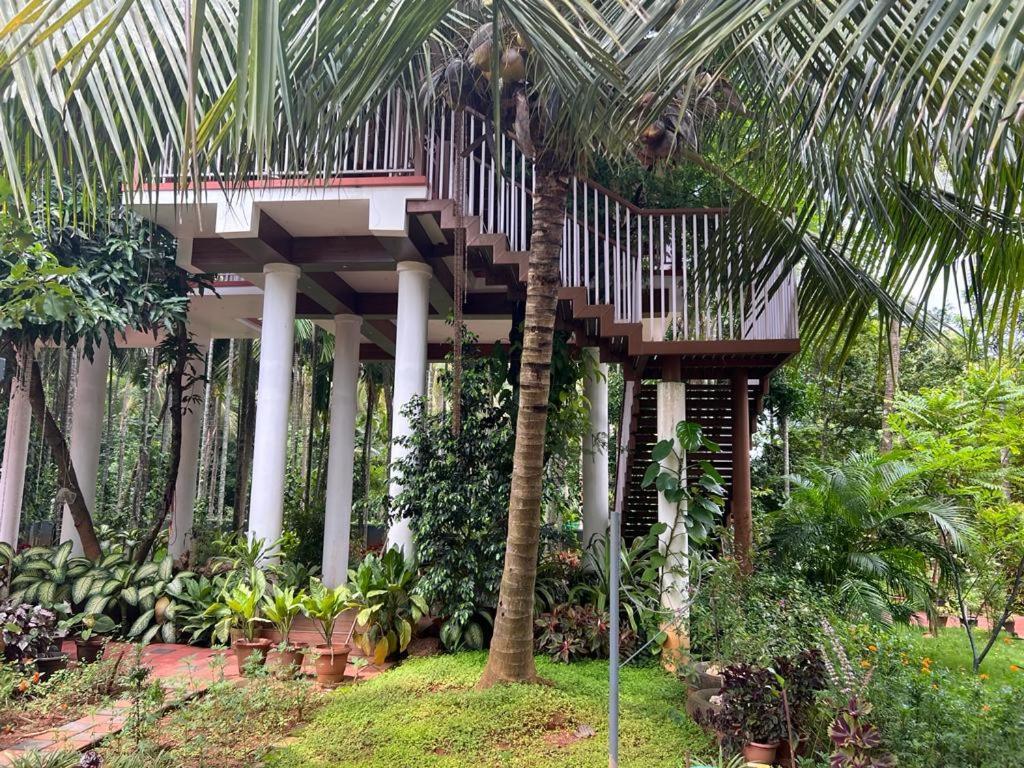 Serenity Villa And Treehouse بلكاد المظهر الخارجي الصورة