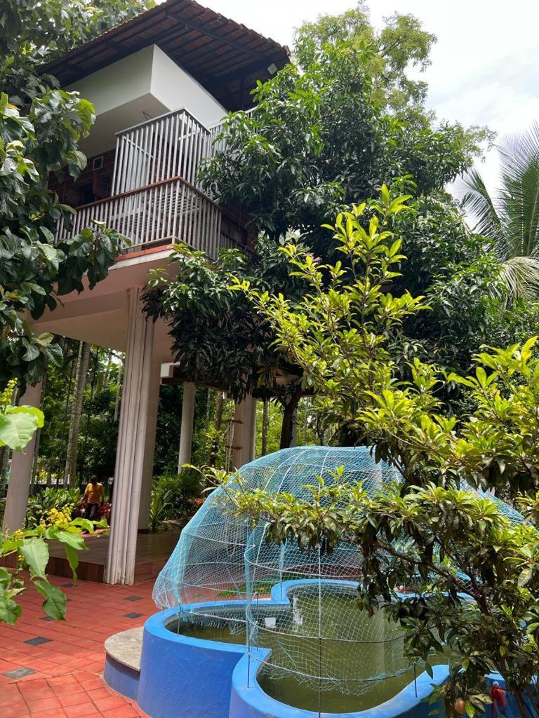 Serenity Villa And Treehouse بلكاد المظهر الخارجي الصورة