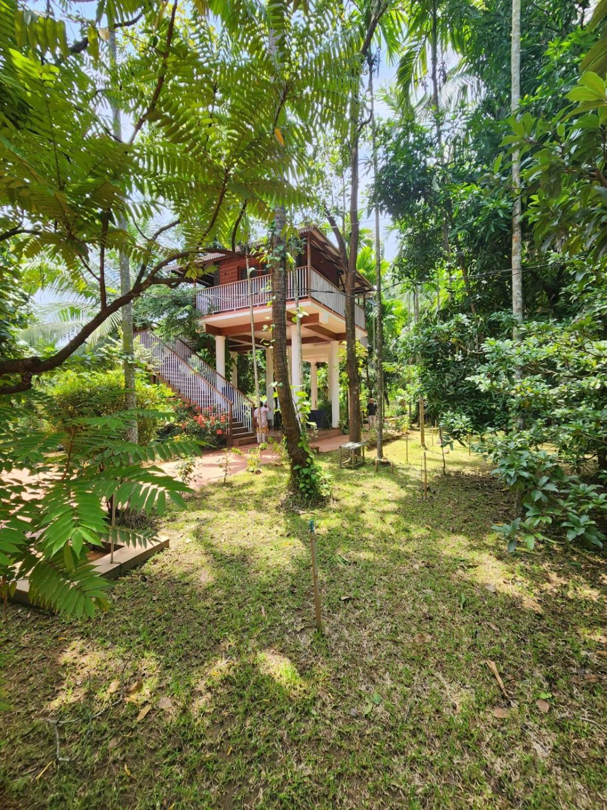 Serenity Villa And Treehouse بلكاد المظهر الخارجي الصورة